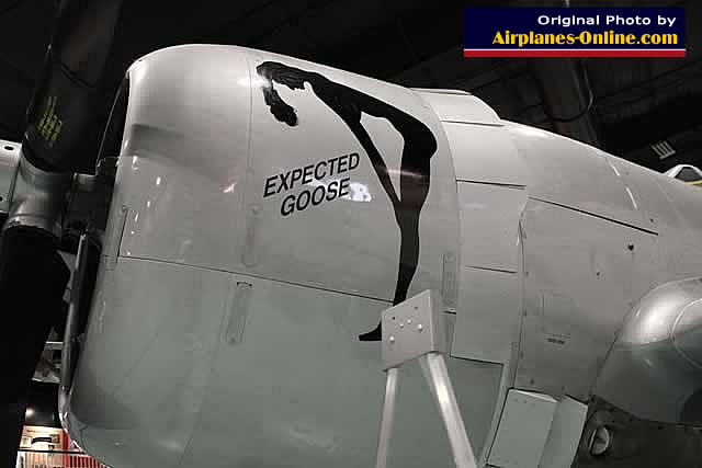 Nose art on P-47 Thunderbolt "Expected Goose"