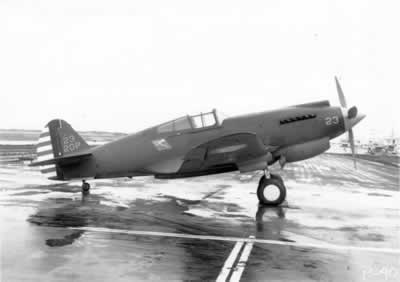 Curtiss P-40 Warhawk fighter plane